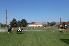 DSCN1187