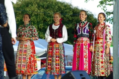 Falunap_201642