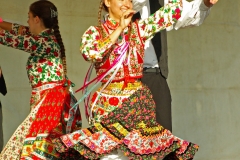 Falunap_201645