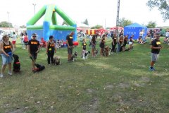 DSCN8208
