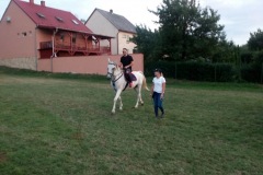 DSCN8352