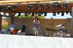 DSCN0721-aranykapu