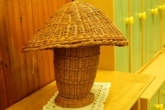 DSCN3651