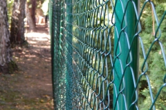 DSCN3109