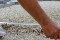 DSCN3161