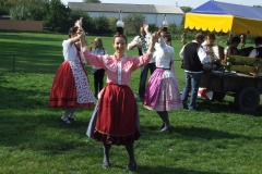 DSCF5362