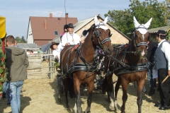 DSCF5497