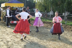 DSCF5498